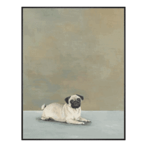Around Evening Pug