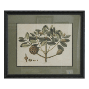 Dammer Tree Print