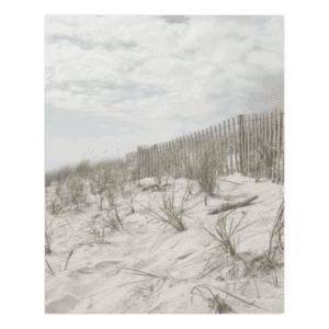 Hampton Views 8