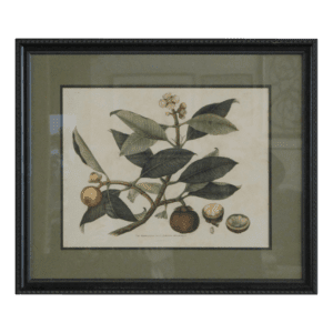 Mangustin Tree Print