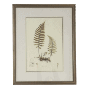 Botanical Leaf Print III