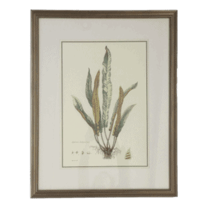 Botanical Leaf Print IV
