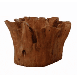 Natural Trunk Planter - Table Top