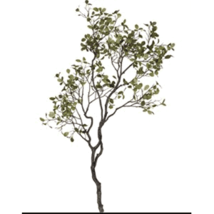 Leafy Manzanita Branch Large
