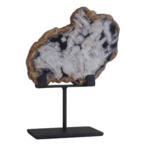 Petrified Wood