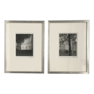 Building and Tree Set of 2