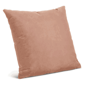 Rose Velvet Pillow