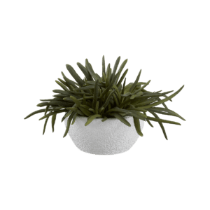Faux Pencil Succulent