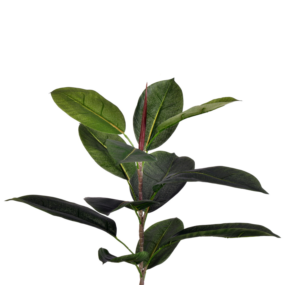 Faux Rubber Tree 84″